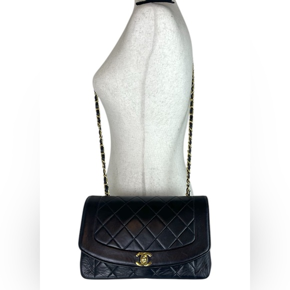 CHANEL DIANA 25 Single Flap Quilted Logo Lambskin Chain Bag and wallet - Picture 4 of 17